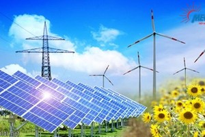 Việt Nam gia tăng tỷ trọng năng lượng tái tạo, cả sản xuất và tiêu thụ