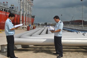 Năm 2017, Việt Nam nhập siêu từ khu vực Đông Nam Á 5,9 tỷ USD, trong đó nhập siêu từ Singapore và Malaysia tăng chủ yếu là do chi lớn để nhập khẩu mặt hàng xăng dầu.