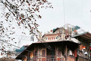 Ảnh đẹp về Hà Nội tháng 1 trên Instagram