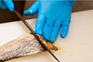 Đầu bếp sau khi lấy cá ra khỏi lớp gạo và muối ướp trước đó thì cắt lát mỏng và đều. Ảnh: Biwako Visitors Bureau.