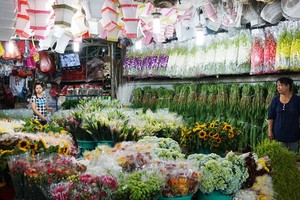 Chợ hoa đêm lớn nhất Sài Gòn chuẩn bị vào vụ Tết