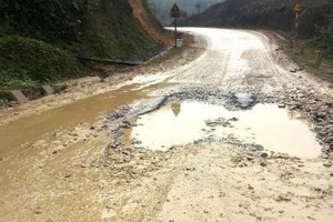 Gói thầu số 12 tỉnh lộ 208 Cao Bằng: Nhà thầu cân nhắc kiện chủ đầu tư