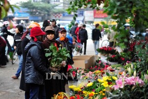 5 phiên chợ cuối năm không nên bỏ lỡ ở Hà Nội