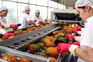 Từ 1/4: Thêm điều kiện khi xuất hoa quả sang Quảng Tây