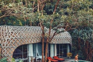 Biệt thự tổ chim trong resort sang chảnh ở Phuket