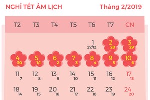Dự kiến lịch nghỉ Tết âm lịch 2019 đang được Bộ Lao động lấy ý kiến. Đồ họa: Tiến Thành. 