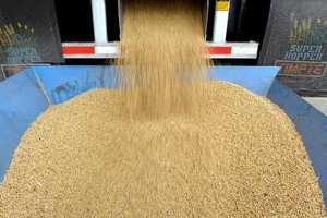 Ngành sản xuất đậu tương Mỹ bị ảnh hưởng nghiệm trọng từ căng thẳng thương mại Mỹ - Trung