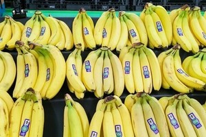 Chuối trong cửa hàng của Trader Joe's đã có giá 19 cent từ năm 1999. Ảnh: BI