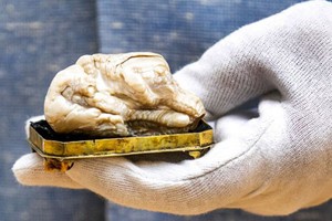 Khối ngọc trai "Sư tử ngủ" tại nhà đấu giá Venduehuis, Hà Lan. Ảnh: AFP.