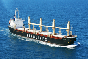 Giá khởi điểm cổ phần Vinalines trong phiên IPO chỉ ngang với mệnh giá là 10.000 đồng/cổ phần.