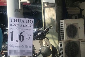 Chiêu trò của cò đất.