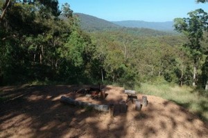 Khu vườn rộng 16,5 ha phía sau nhà  - Ảnh: News.com.au.