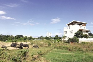 Chủ tịch UBND TPHCM chỉ đạo chuyển hồ sơ sang cơ quan điều tra làm rõ vi phạm của những cá nhân, đơn vị liên quan đến dự án khu dân cư Bắc Rạch Chiếc (quận 9).