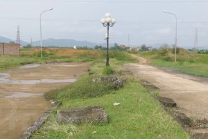 Ảnh minh họa. (Nguồn: TTXVN).