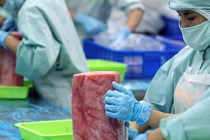 Tìm động lực tăng trưởng của nền kinh tế: Điểm danh nguồn lực bị kìm nén