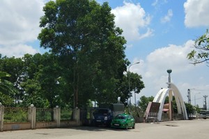 Công viên Hoàng Hoa Thám, TP Bắc Giang. Ảnh: Báo Tài nguyên & môi trường.