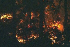 Hiện trường chiếc máy bay Bombardier Q400 của hãng hàng không Horizon Air lao xuống đảo Ketron, cách thành phố Seattle 50 km về hướng tây nam ngày 10/8. Ảnh: ABC.