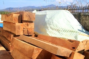 (Ảnh minh họa: Quang Thái/TTXVN).