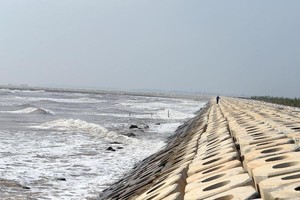 Đê chắn sóng Lạch Giang (Nam Định). Ảnh: Đức Thanh.