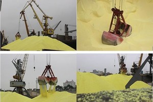 QBS góp 198 tỷ đồng bằng tài sản vào Xuất nhập khẩu Cát Long