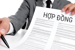 Khai man thông tin bảo hiểm, lỗi chủ yếu bởi tư vấn viên