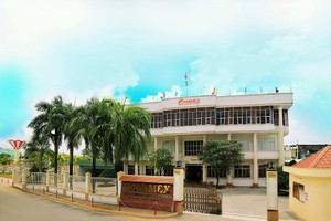 CMX: Lãi 4,361 tỷ đồng, kiểm toán ngoại trừ 8,859 tỷ đồng