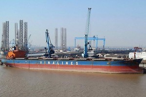 Đấu giá cổ phần Vinalines “ế ẩm”