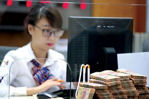 Nếu tính tỷ lệ an toàn vốn theo Basel, một số nhà băng có thể vi phạm tỷ lệ an toàn.