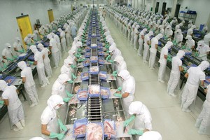 Doanh nghiệp thủy sản: Hai nửa vui, buồn