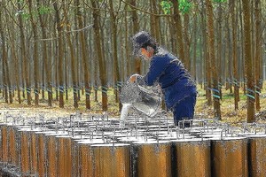 DPR: 8 tháng ước đạt 210,6 tỷ đồng lãi trước thuế