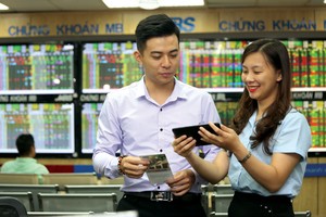 Trên thị trường chứng khoán Việt Nam, hiện có 8 doanh nghiệp lập báo cáo tài chính theo IFRS.