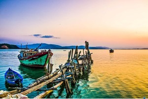 Dòng tiền tìm nơi “làm tổ”