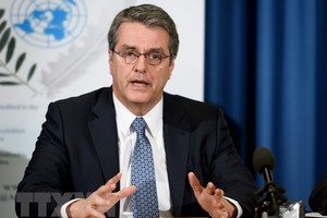 Tổng Giám đốc WTO Roberto Azevedo. (Nguồn: AFP/TTXVN).