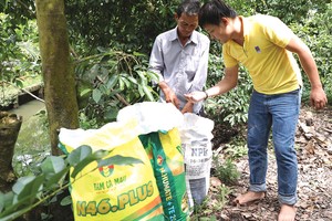 Đạm Cà Mau: 9 tháng đạt gần 570 tỷ đồng lợi nhuận trước thuế 