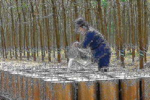 Cao su Đồng Phú (DPR) gần hoàn thành kế hoạch lợi nhuận 2018