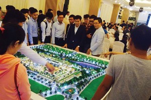 Netland (NRC) dự kiến cả năm lãi 110 tỷ đồng