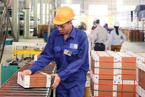 Viglacera Hạ Long lãi 98 tỷ đồng trong 9 tháng