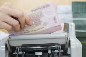 Lợi nhuận ngân hàng: Lo cho năm sau 