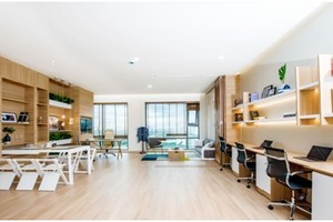 Với vị trí trung tâm, sự đa công năng và mức giá hợp lý, officetel là sự lựa chọn lý tưởng cho giới khởi nghiệp cũng như các doanh nghiệp vừa và nhỏ.