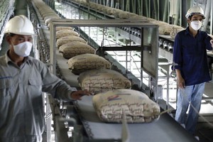 Giá than, giá điện tăng đang khiến chi phí đầu vào của các doanh nghiệp xi măng tăng cao.