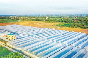 The PAN Group và hành trình tạo dựng giá trị bền vững