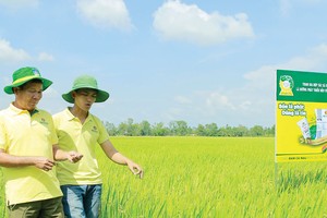 Đạm Cà Mau vững nội lực để duy trì tăng trưởng