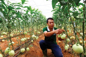 Dòng tín dụng được khơi thông đang trải dài cơ hội cho doanh nghiệp ngành nông nghiệp.