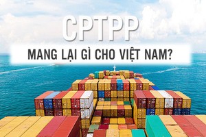 CPTPP mang lại gì cho Việt Nam?