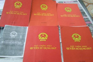 Đối với sổ đỏ, việc cho thuê là vô nghĩa bởi quyền tài sản này gắn liền với nhân thân.