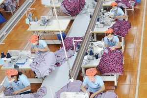 May Sông Hồng là một trong những doanh nghiệp đầu ngành may Việt Nam, với hoạt động chính là sản xuất hàng may xuất khẩu.