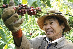 Cùng đồng hành với doanh nghiệp trong thực hiện tái canh cây cà phê đã có sự hỗ trợ từ Agribank.