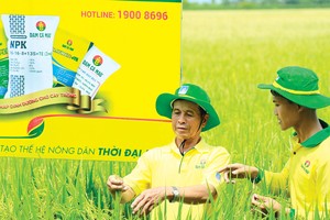 Đạm Cà Mau nỗ lực vì sự phát triển bền vững của nông nghiệp Việt