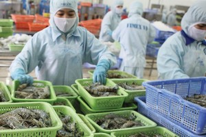 Dự báo xuất khẩu thủy sản tăng mạnh vào cuối năm