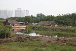 Cổ phiếu QCG tăng gấp đôi sau hơn 2 tuần 